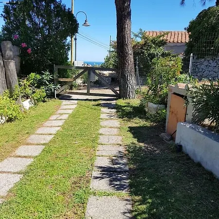 Apartment Casa Ferrini